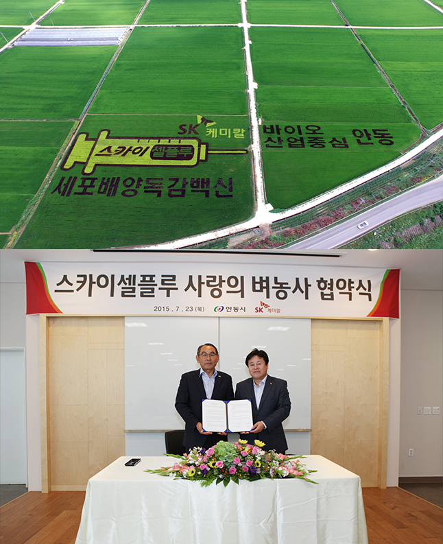 SK chemicals and Andong City in “bright” rice farming project